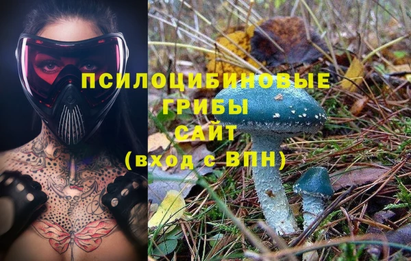 прущая мука Горно-Алтайск