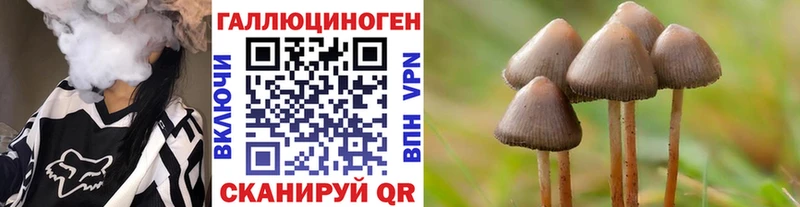 сколько стоит  Меленки  OMG ССЫЛКА  Галлюциногенные грибы прущие грибы 